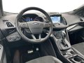 Daumennagel 10 - Ford Kuga 1.5 l EcoBoost 4x4 ST-LINE Autom. NAVI/DAB/RFK AHK DESIGN/WINTER-PAKET PANORAMADACH el. HECKKLAPPE LMF 19``