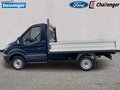 Daumennagel 2 - Ford Transit 2.0 TDCi Basis Pritsche Einzelkabine 310 L1 AUDIO&BLUETOOTH SICHT-PAKET BFDS