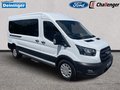 Daumennagel 8 - Ford Transit Kombi 2.0 l EcoBlue Trend 350 L3H2 DOPPELKLIMA TECHNOLOGIE-PAKET SCHIEBETÜR RE+LI
