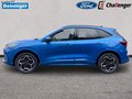 Daumennagel 2 - Ford Kuga FHEV CVT Automatik