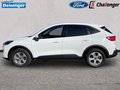 Daumennagel 2 - Ford Kuga 2.5 l Duratec Plug-In Hybrid Cool & Connect Autom. NAVI/DAB KLIMAAUTOMATIK TEMPOMAT PDC