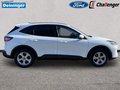 Daumennagel 6 - Ford Kuga 2.5 l Duratec Plug-In Hybrid Cool & Connect Autom. NAVI/DAB KLIMAAUTOMATIK TEMPOMAT PDC