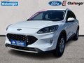 Daumennagel 17 - Ford Kuga 2.5 l Duratec Plug-In Hybrid Cool & Connect Autom. NAVI/DAB KLIMAAUTOMATIK TEMPOMAT PDC