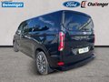 Daumennagel 3 - Ford 320L2 Titanium X Standheizung