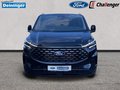 Daumennagel 8 - Ford 320L2 Titanium X Standheizung