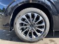 Daumennagel 9 - Ford 320L2 Titanium X Standheizung