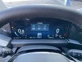 Daumennagel 19 - Ford 320L2 Titanium X Standheizung