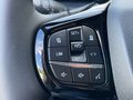 Daumennagel 20 - Ford 320L2 Titanium X Standheizung