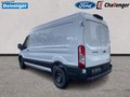 Daumennagel 3 - Ford Transit 350L3 Kastenwagen Trend