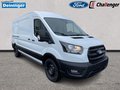 Daumennagel 7 - Ford Transit 350L3 Kastenwagen Trend