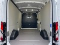 Daumennagel 24 - Ford Transit 350L3 Kastenwagen Trend