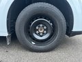 Daumennagel 20 - Ford Transit Custom Trend 320L1 Elektromotor