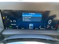 Daumennagel 19 - Ford Custom 320L2 Trend PHEV
