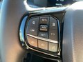 Daumennagel 18 - Ford Custom 320L2 Trend PHEV