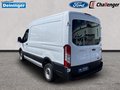 Daumennagel 2 - Ford Transit Kasten Basis 290 L2H2 RADIO/DAB KLIMA beh. WSS TECHNOLOGIE-PAKET