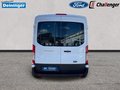 Daumennagel 6 - Ford Transit Kasten Basis 290 L2H2 RADIO/DAB KLIMA beh. WSS TECHNOLOGIE-PAKET