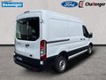 Daumennagel 4 - Ford Transit Kasten Basis 290 L2H2 RADIO/DAB KLIMA beh. WSS TECHNOLOGIE-PAKET
