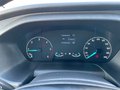 Daumennagel 20 - Ford Transit Kasten Basis 290 L2H2 RADIO/DAB KLIMA beh. WSS TECHNOLOGIE-PAKET