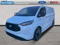 Daumennagel 1 - Ford Transit Custom Kastenwagen PHEV