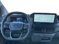 Daumennagel 11 - Ford Transit Custom Kastenwagen PHEV