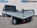 Daumennagel 5 - Ford Transit Pritsche Einzelkabine Trend 350 L3 AHK SICHT-PAKET KLIMA TEMPOMAT RADIO NSW