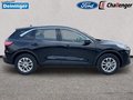 Daumennagel 6 - Ford Kuga 2.5 l Duratec Plug-In Hybrid Titanium Autom. NAVI/DAB/RFK WINTER-PAKET KLIMAAUTOMATIK TEMPOMAT PDC