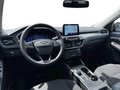 Daumennagel 10 - Ford Kuga 2.5 l Duratec Plug-In Hybrid Titanium Autom. NAVI/DAB/RFK WINTER-PAKET KLIMAAUTOMATIK TEMPOMAT PDC