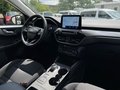 Daumennagel 13 - Ford Kuga 2.5 l Duratec Plug-In Hybrid Titanium Autom. NAVI/DAB/RFK WINTER-PAKET KLIMAAUTOMATIK TEMPOMAT PDC