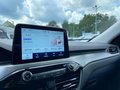 Daumennagel 17 - Ford Kuga 2.5 l Duratec Plug-In Hybrid Titanium Autom. NAVI/DAB/RFK WINTER-PAKET KLIMAAUTOMATIK TEMPOMAT PDC