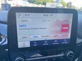 Daumennagel 17 - Ford Puma 1.0 l EcoBoost Hybrid (MHEV) Titanium NAVI/DAB FAHRASSISTENZ/KOMFORT/WINTER-PAKET