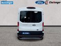 Daumennagel 4 - Ford Transit 2.0 l EcoBlue Heavy Dut Kasten Trend 350 L3H2 Autom. NAVI/DAB TECHNOLOGIE-PAKET KLIMA