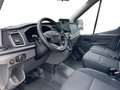 Daumennagel 9 - Ford Transit 2.0 l EcoBlue Heavy Dut Kasten Trend 350 L3H2 Autom. NAVI/DAB TECHNOLOGIE-PAKET KLIMA