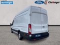Daumennagel 3 - Ford Transit 2.0 EcoBlue Kasten Trend L4H3 AUDIO&DAB KLIMA TEMPOMAT EXPRESS-LINE-PAKET