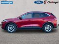 Daumennagel 2 - Ford Kuga 2.5 l Duratec Plug-In Hybrid Titanium X Autom. NAVI/B&O/DAB AHK FAHRASSISTENZ/TECHNOLOGIE/WINTER-PAKET el. HECKKLAPPE KLIMAAUTOMATIK