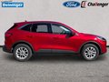 Daumennagel 6 - Ford Kuga 2.5 l Duratec Plug-In Hybrid Titanium X Autom. NAVI/B&O/DAB AHK FAHRASSISTENZ/TECHNOLOGIE/WINTER-PAKET el. HECKKLAPPE KLIMAAUTOMATIK