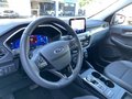 Daumennagel 14 - Ford Kuga 2.5 l Duratec Plug-In Hybrid Titanium X Autom. NAVI/B&O/DAB AHK FAHRASSISTENZ/TECHNOLOGIE/WINTER-PAKET el. HECKKLAPPE KLIMAAUTOMATIK