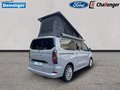 Daumennagel 5 - Ford 320L1 Nugget Titanium