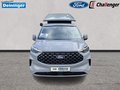 Daumennagel 8 - Ford 320L1 Nugget Titanium