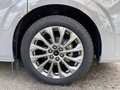 Daumennagel 9 - Ford 320L1 Nugget Titanium