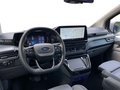 Daumennagel 12 - Ford 320L1 Nugget Titanium