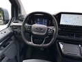 Daumennagel 13 - Ford 320L1 Nugget Titanium