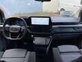 Daumennagel 14 - Ford 320L1 Nugget Titanium