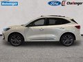 Daumennagel 2 - Ford Kuga FHEV SOUND EDITION