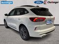 Daumennagel 3 - Ford Kuga FHEV SOUND EDITION