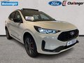 Daumennagel 7 - Ford Kuga FHEV SOUND EDITION