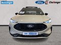 Daumennagel 8 - Ford Kuga FHEV SOUND EDITION