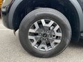 Daumennagel 9 - Ford Ranger Wildtrak PHEV