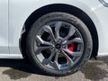 Daumennagel 9 - Ford Focus ST-Line