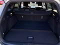 Daumennagel 23 - Ford Focus ST-Line