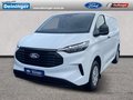 Daumennagel 1 - Ford Transit Custom Kastenwagen Trend 320L1